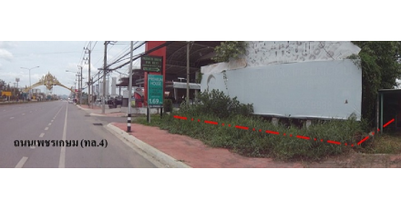 แปลงหัวหินริมถนน